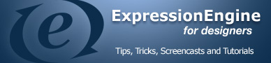 ExpressionEngine for designers - everything you need to know to get started designing and developing with ExpressionEngine